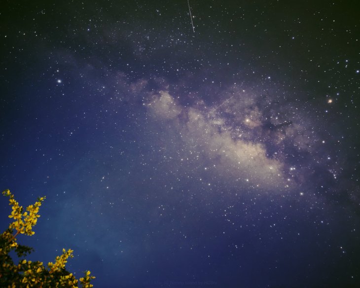 Meteor, Milky Way and Zodiacal Light, Tioman Island