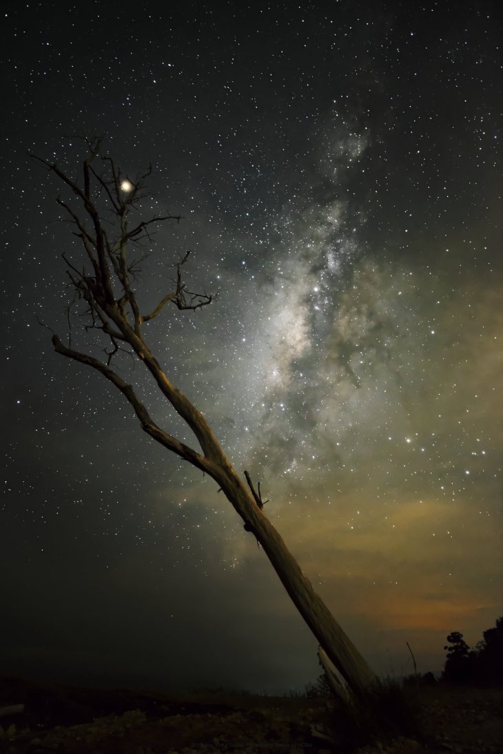 Mars, Milky Way and lone tree at Kg Sugud, Penampang, Sabag 2018 Aug 13