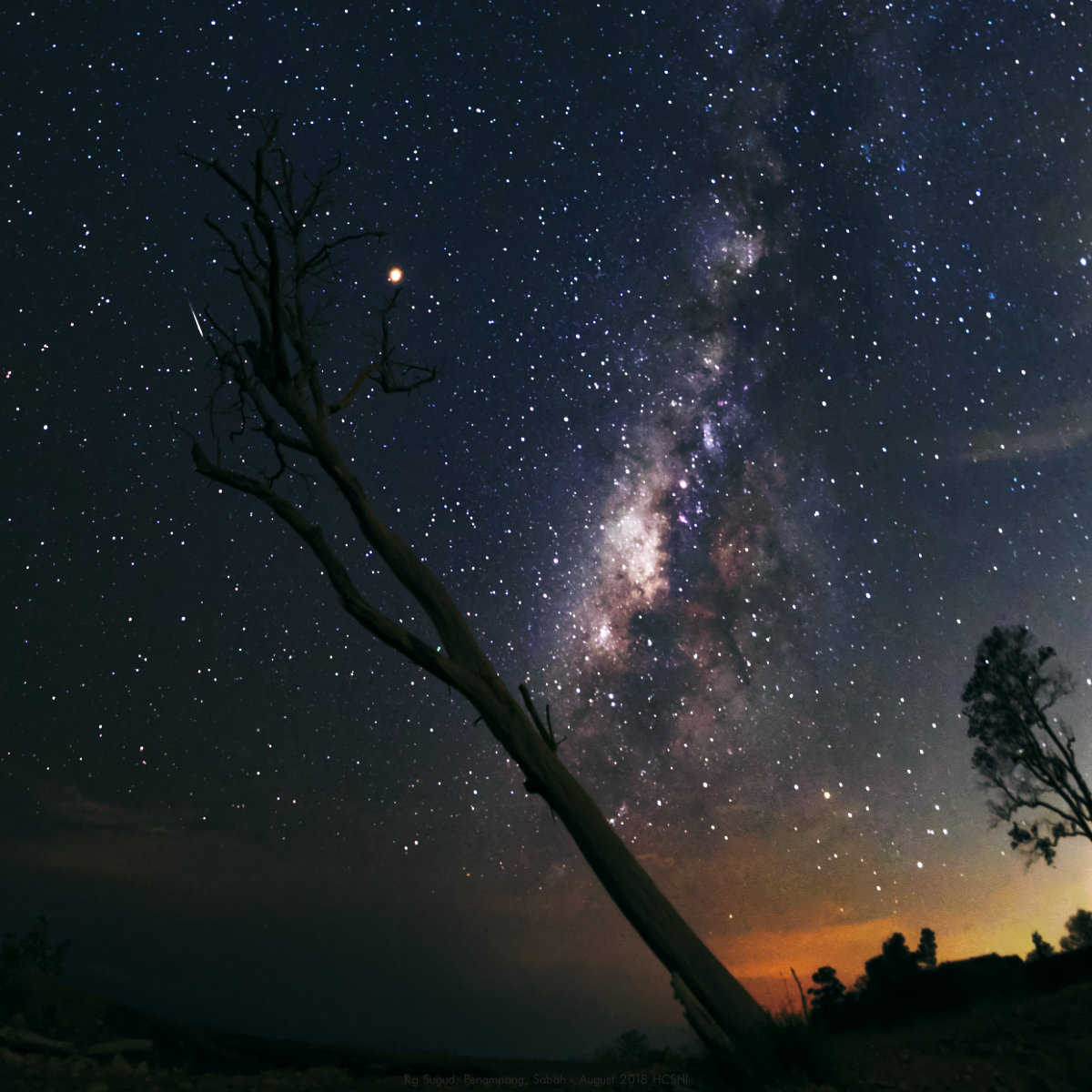 Meteor, Mars, Milky Way and Lone Tree at Kg Sugud, Penampang, Sabah - 2018 Aug 13